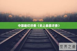 中国最烂评委（史上最差评委）