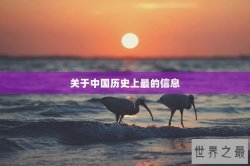 关于中国历史上最的信息