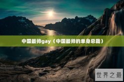 中国最帅gay（中国最帅的单身总裁）