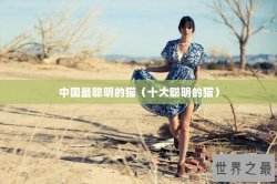中国最聪明的猫（十大聪明的猫）