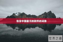 包含中国最污的软件的词条
