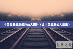 中国最胖最胖最胖的人图片（全中国最胖的人是谁）