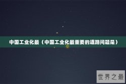 中国工业化最（中国工业化最重要的道路问题是）