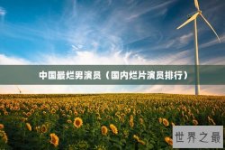 中国最烂男演员（国内烂片演员排行）