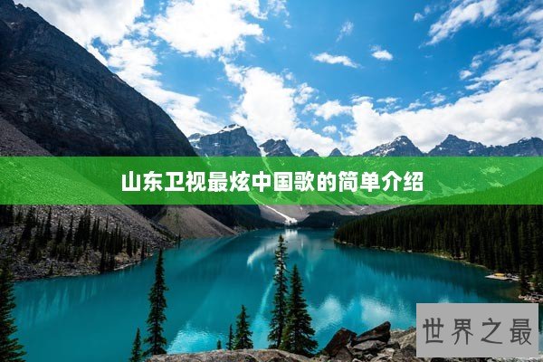 山东卫视最炫中国歌的简单介绍