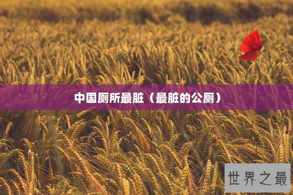 中国厕所最脏（最脏的公厕）