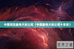 中国现在最伟大的公司（中国最伟大的公司十年后）
