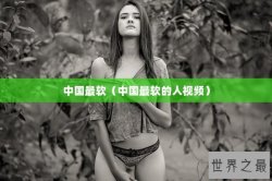 中国最软（中国最软的人视频）