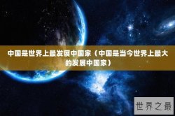 中国是世界上最发展中国家（中国是当今世界上最大的发展中国家）