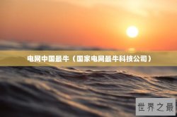 电网中国最牛（国家电网最牛科技公司）