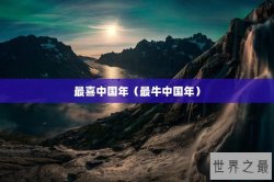 最喜中国年（最牛中国年）