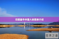 印度最牛中国人的简单介绍