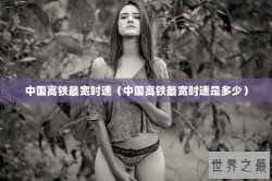 中国高铁最宽时速（中国高铁最宽时速是多少）