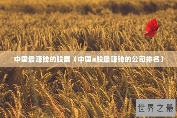 中国最赚钱的股票（中国a股最赚钱的公司排名）