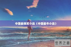 中国最爆笑小品（中国最牛小品）