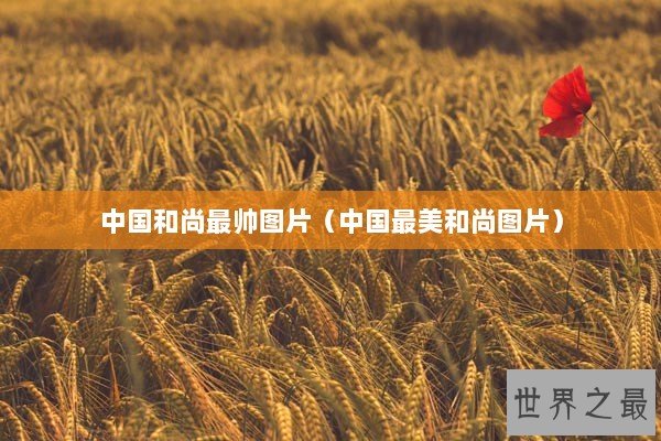 中国和尚最帅图片（中国最美和尚图片）