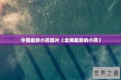 中国最胖小孩图片（全网最胖的小孩）