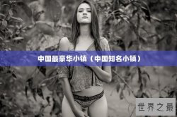 中国最豪华小镇（中国知名小镇）