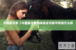 中国最古老（中国最古老的连梁式石板平桥是什么桥）