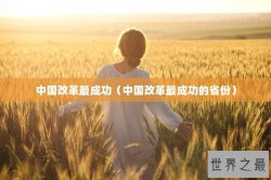 中国改革最成功（中国改革最成功的省份）