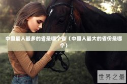 中国最人最多的省是哪个省（中国人最大的省份是哪个）