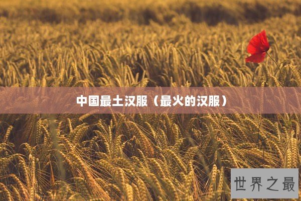 中国最土汉服（最火的汉服）