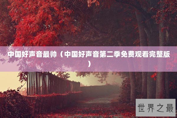 中国好声音最帅（中国好声音第二季免费观看完整版）