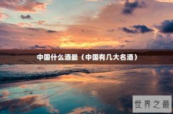 中国什么酒最（中国有几大名酒）