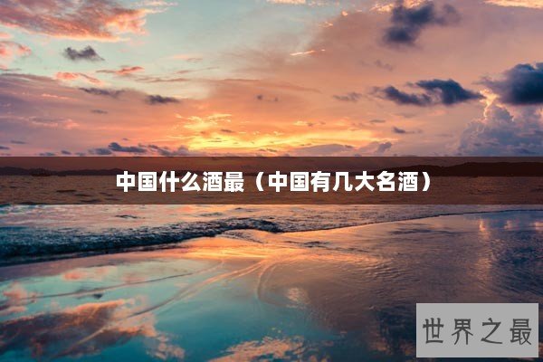 中国什么酒最（中国有几大名酒）
