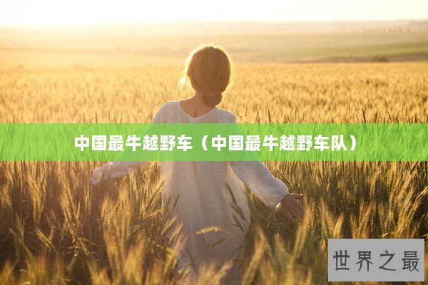 中国最牛越野车（中国最牛越野车队）