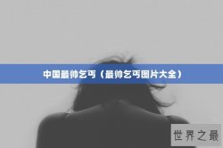 中国最帅乞丐（最帅乞丐图片大全）