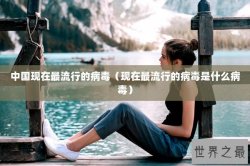 中国现在最流行的病毒（现在最流行的病毒是什么病毒）