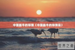 中国最牛的导弹（中国最牛的导弹是）