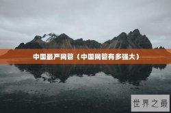 中国最严网管（中国网管有多强大）