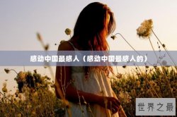 感动中国最感人（感动中国最感人的）