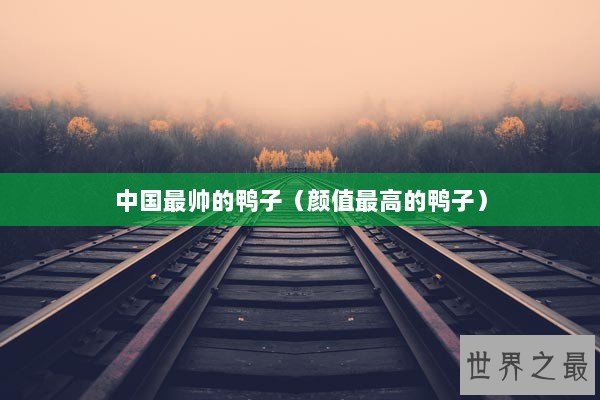 中国最帅的鸭子（颜值最高的鸭子）