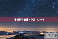 中国领导最帅（中国10大帅）
