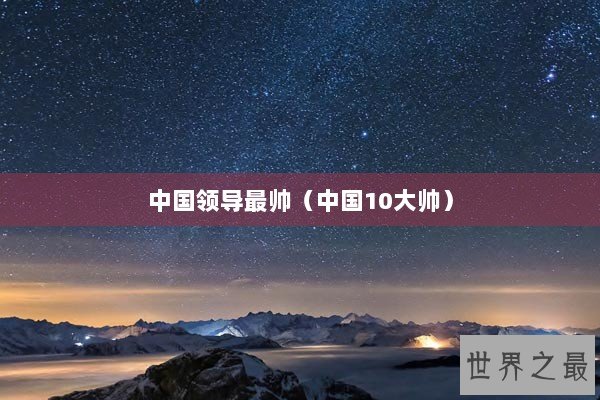 中国领导最帅（中国10大帅）