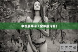 中国最牛污（全球最污的）