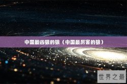 中国最凶狠的狼（中国最厉害的狼）