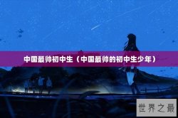 中国最帅初中生（中国最帅的初中生少年）