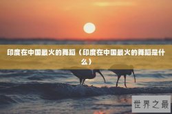 印度在中国最火的舞蹈（印度在中国最火的舞蹈是什么）