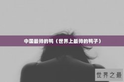 中国最帅的鸭（世界上最帅的鸭子）