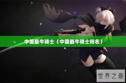 中国最牛骑士（中国最牛骑士排名）