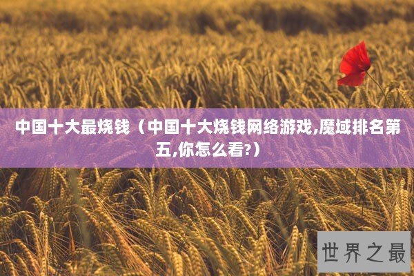 中国十大最烧钱（中国十大烧钱网络游戏,魔域排名第五,你怎么看?）