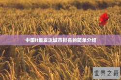 中国it最发达城市排名的简单介绍