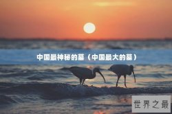 中国最神秘的墓（中国最大的墓）