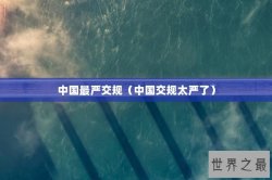 中国最严交规（中国交规太严了）
