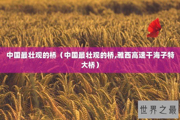 中国最壮观的桥（中国最壮观的桥,雅西高速干海子特大桥）