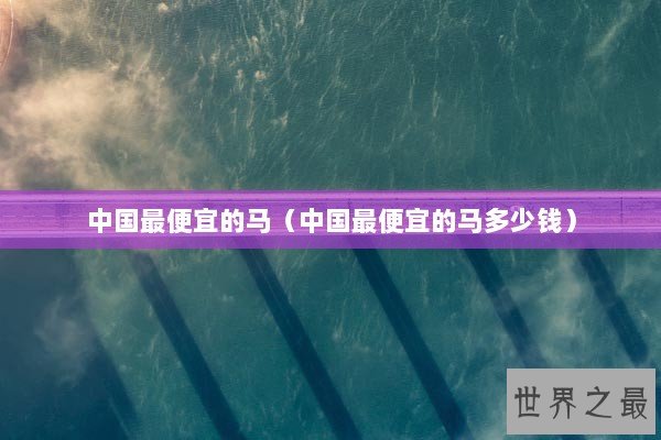 中国最便宜的马（中国最便宜的马多少钱）